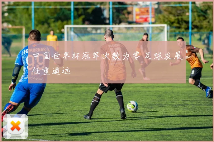 中国世界杯冠军次数为零 足球发展任重道远