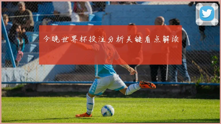 今晚世界杯投注分析关键看点解读