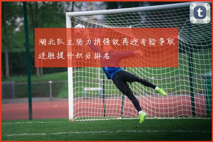 湖北队主场力拼强敌再迎考验争取连胜提升积分排名