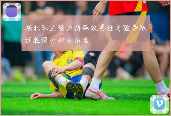湖北队主场力拼强敌再迎考验争取连胜提升积分排名